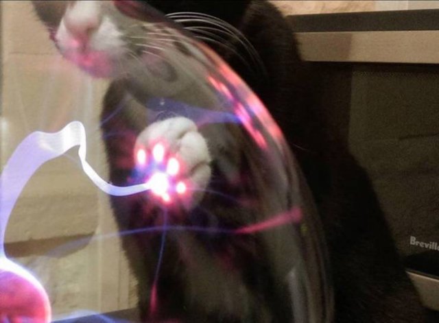 It's Science (20 pics)