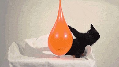 Acid Gifdump, September 24 (25 gifs)