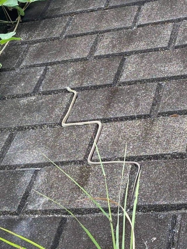 Acid Picdump. Part 1 (93 pics)