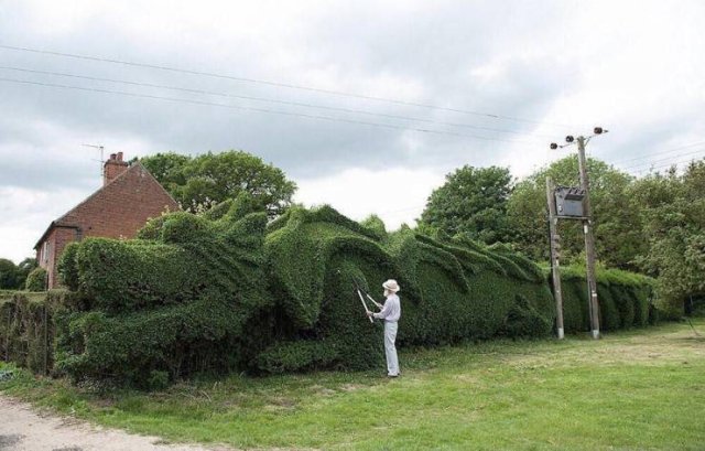 Acid Picdump. Part 1 (93 pics)