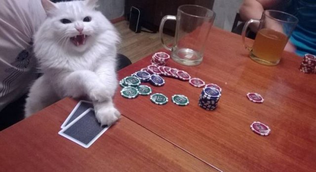 Acid Picdump. Part 2 (92 pics)