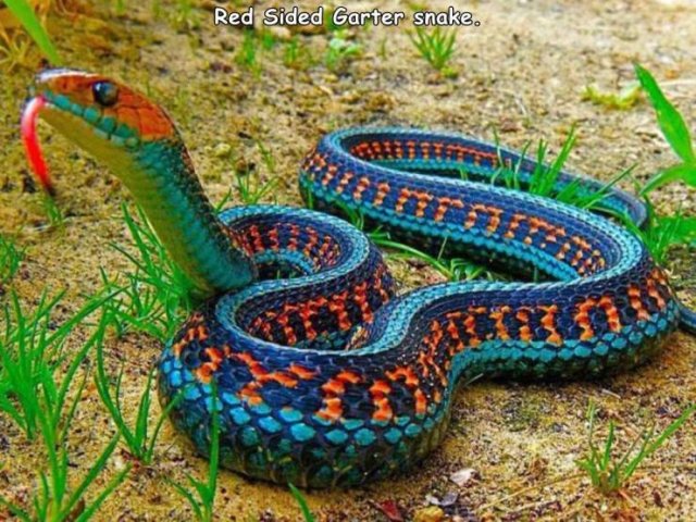Acid Picdump. Part 2 (92 pics)
