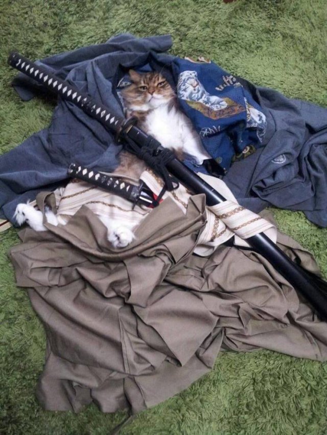 Acid Picdump. Part 1 (93 pics)