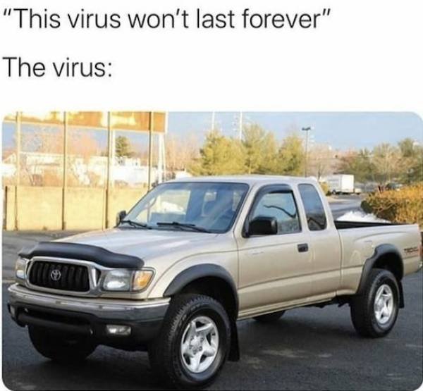 Quarantine Memes (37 pics)