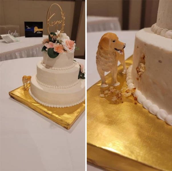 Amazing Wedding Cakes (45 pics)