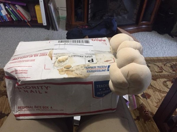 Bad Days Happen (26 pics)