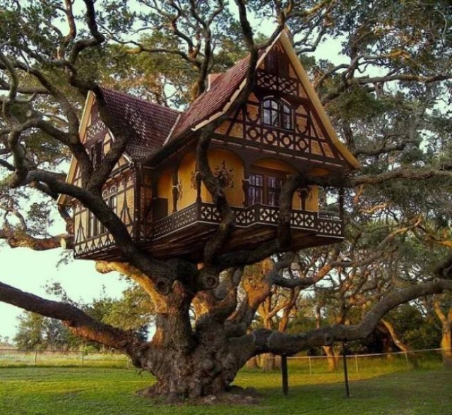 Charming Treehouses (57 pics)