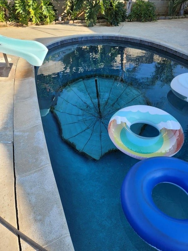 Bad Days Happen (20 pics)