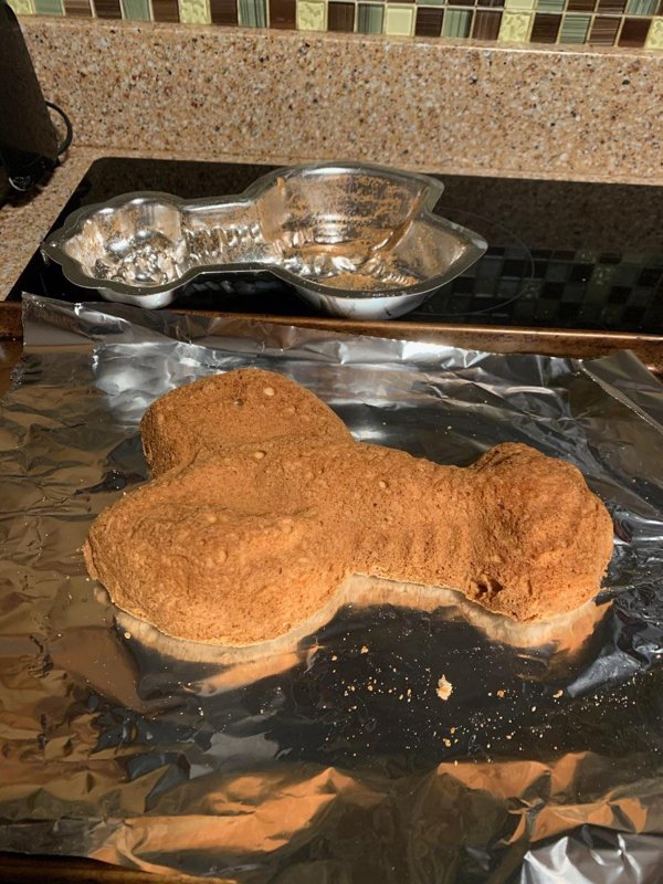 Not Their Best Day (19 pics)