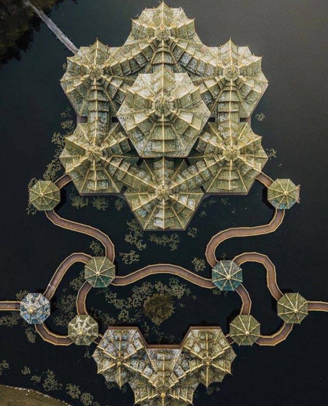 Awesome Pictures (50 pics)