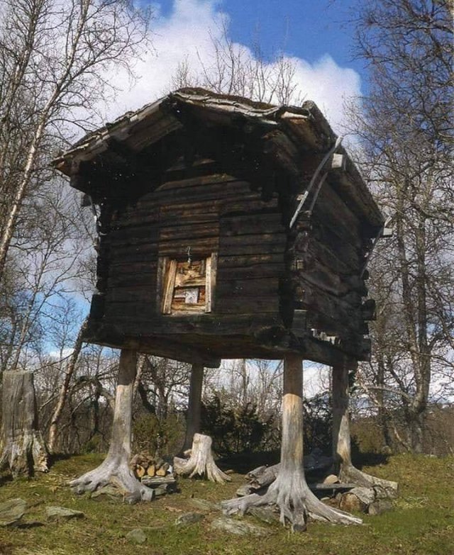 Awesome Pictures (50 pics)