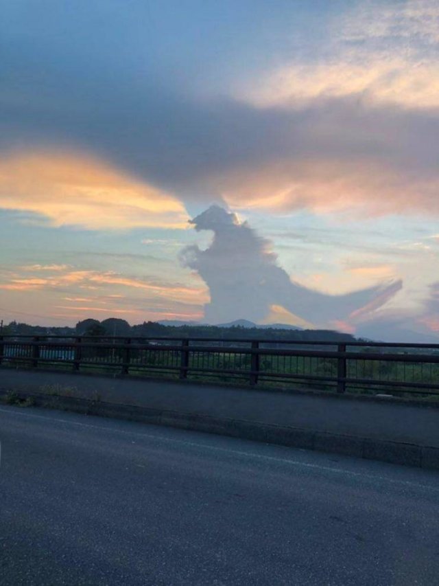Awesome Pictures (50 pics)