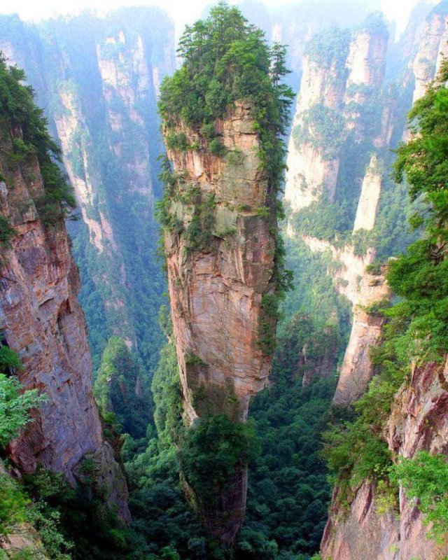 Awesome Pictures (50 pics)