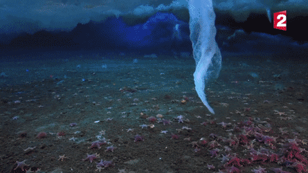 Amazing Things (23 pics)