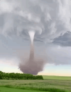 Amazing Things (23 pics)