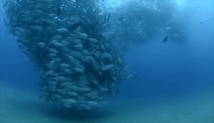 Amazing Things (23 pics)