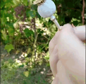Amazing Things (23 pics)