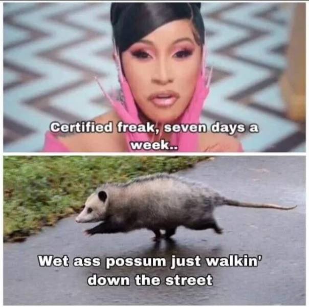 Stupid Humor (24 pics)