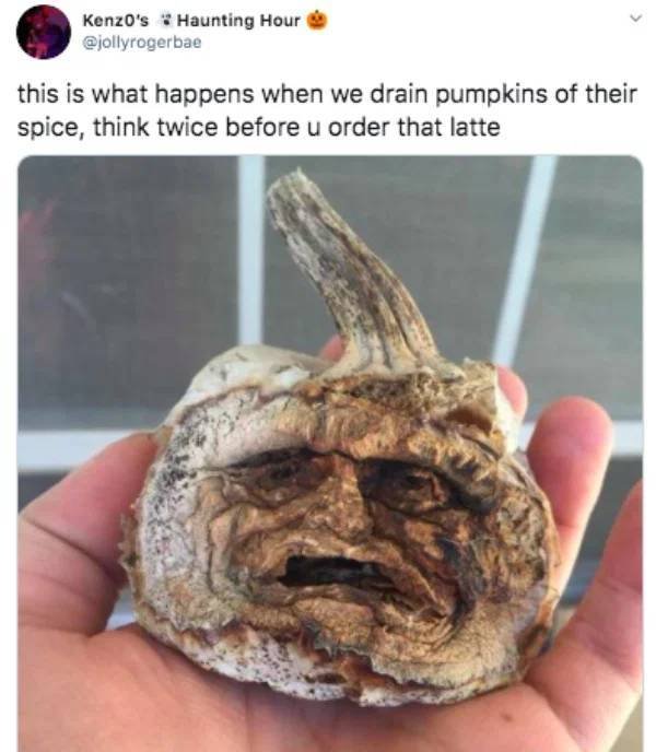 Stupid Humor (24 pics)
