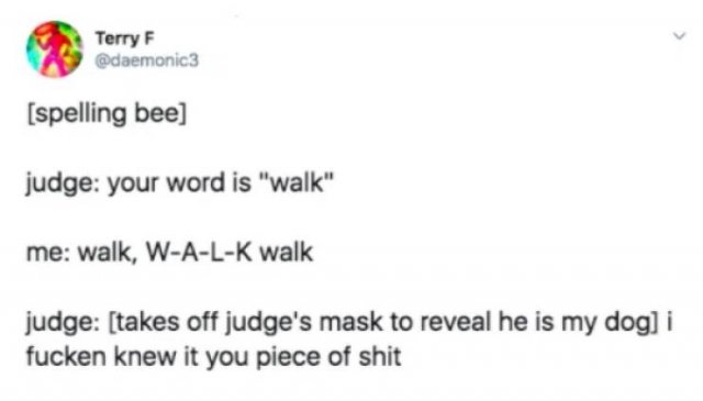 Stupid Humor (24 pics)