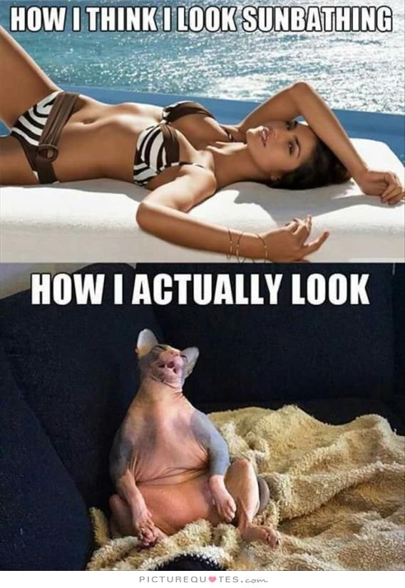 Only Women Will Understand (33 pics)