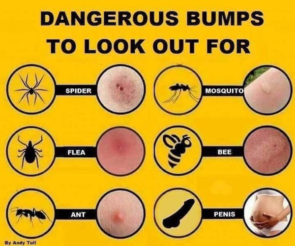 Dirty Humor (39 pics)