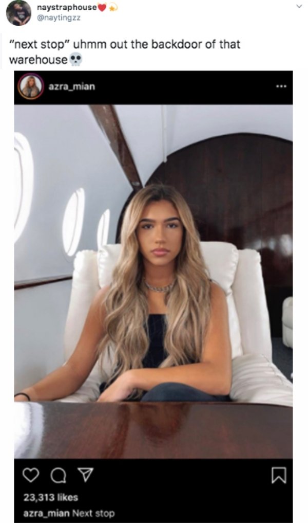 Influencers And Fake Private Jet (17 pics)