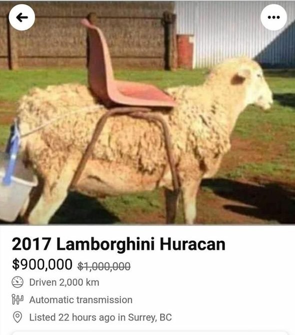 These People Know How To Sell (29 pics)