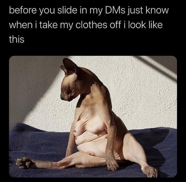 Dirty Humor (39 pics)