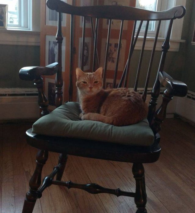 Awesome Family Heirlooms (22 pics)