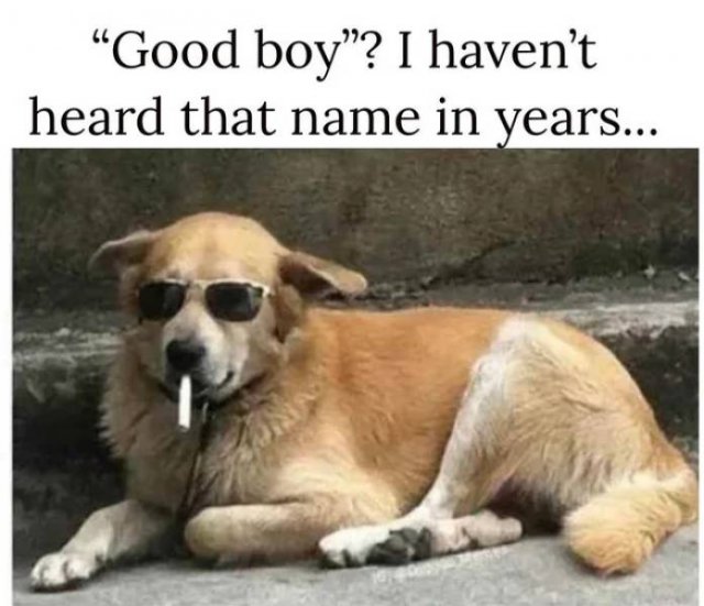 Acid Picdump. Part 2 (94 pics)