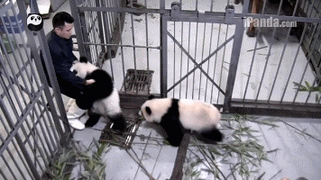 Acid Gifdump, September 29 (25 gifs)