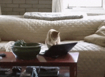 Acid Gifdump, September 29 (25 gifs)