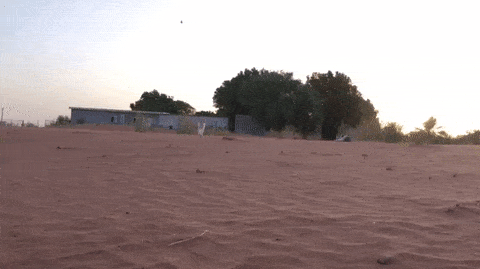 Acid Gifdump, September 29 (25 gifs)