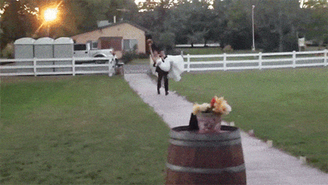 Acid Gifdump, September 29 (25 gifs)