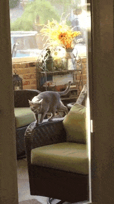 Acid Gifdump, September 29 (25 gifs)