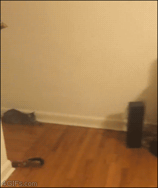 Acid Gifdump, September 29 (25 gifs)
