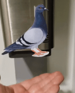 Acid Gifdump, September 29 (25 gifs)