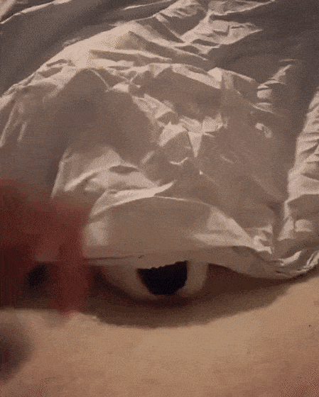 Acid Gifdump, September 29 (25 gifs)