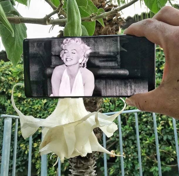 This Guy Plays With Your Imagination Using His Phone (29 pics)