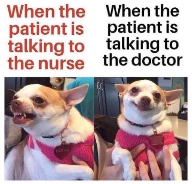 Nurse Memes (35 pics)