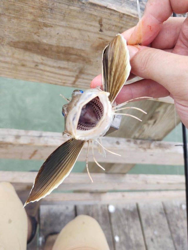 Awesome Things (14 pics)