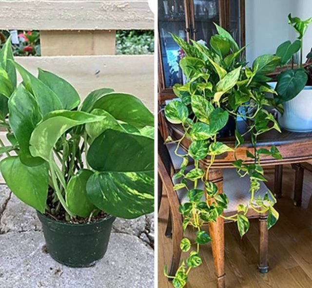 Better Than Expected (17 pics)