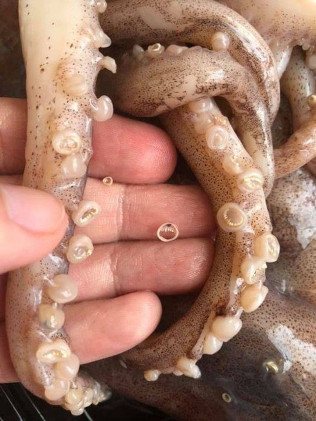 Awesome Things (14 pics)