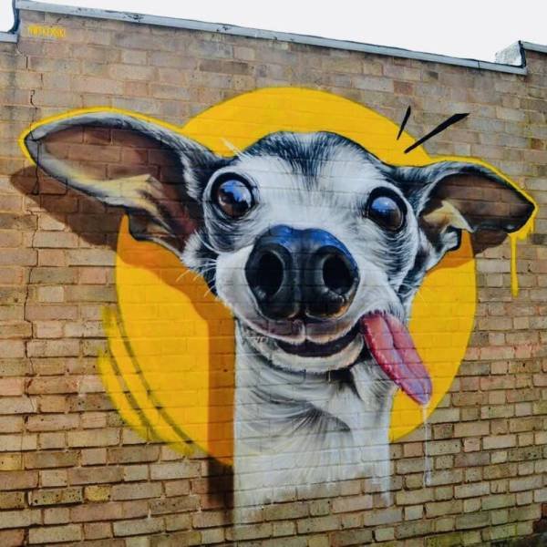 Acid Picdump. Part 1 (93 pics)