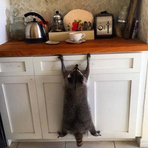 Acid Picdump. Part 1 (93 pics)
