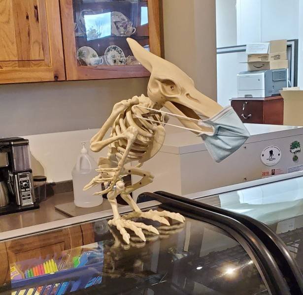 Acid Picdump. Part 1 (93 pics)