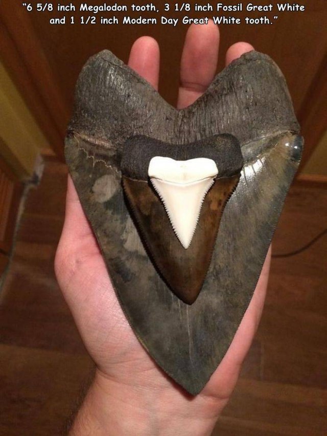 Acid Picdump. Part 1 (93 pics)