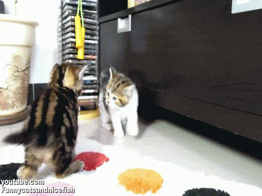 Acid Gifdump, September 30 (25 gifs)