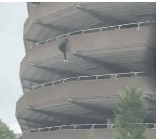 Acid Gifdump, September 30 (25 gifs)